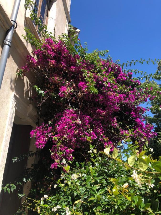 L' Ilot Des Iles Bed & Breakfast Cuxac-d'Aude Luaran gambar